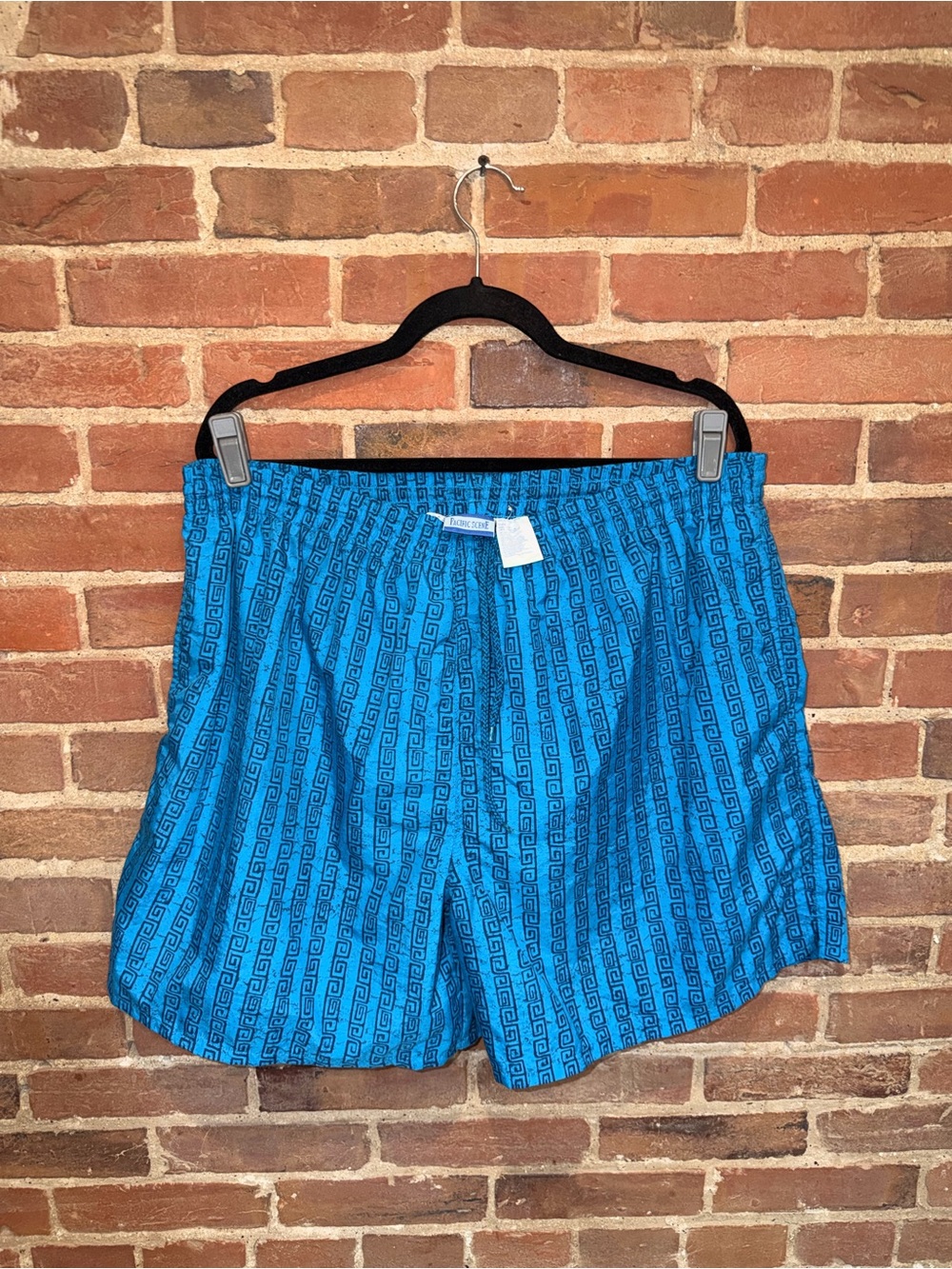 Vtg Blue Men's Swim Trunks Pacific Scene Classic Geometric Stripe Pattern